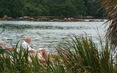 Productive (!) Retirement