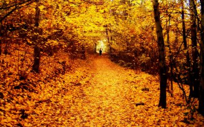 5 Ways to Welcome Change